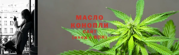 гашик Козловка