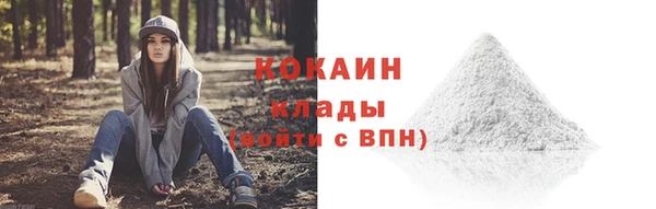 гашик Козловка