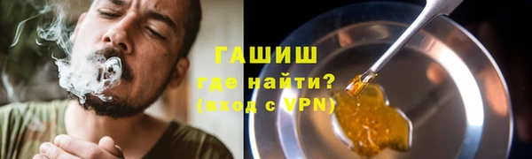 гашик Козловка