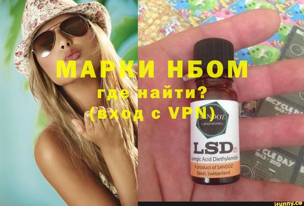 гашик Козловка