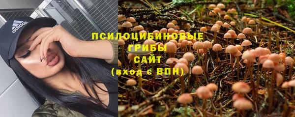 альфа пвп Козельск