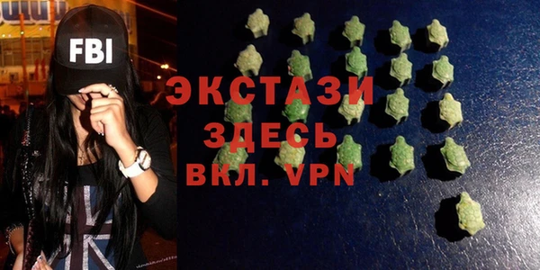 гашик Козловка