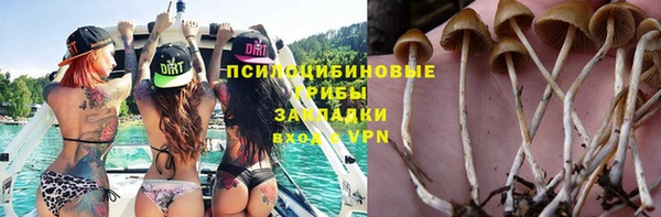 гашик Козловка