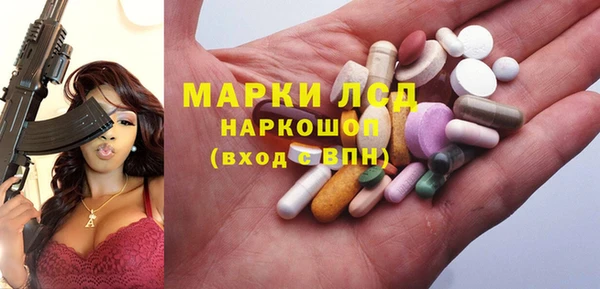 гашик Козловка