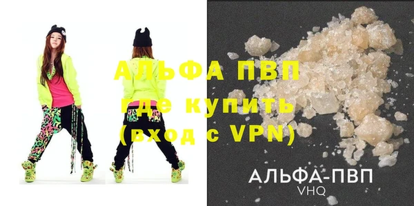 гашик Козловка