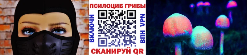 цена   darknet телеграм  Галлюциногенные грибы GOLDEN TEACHER  Шахунья 